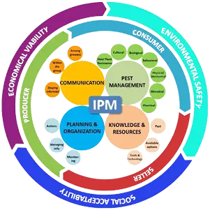 himachal-service-inner-image