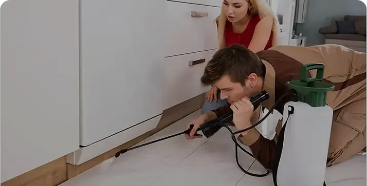 Commercial Pest Control services