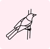 bird-preventation - hppestcontrol