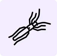 wood-borers-hppestcontrol